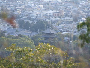 衣笠山から見た　仁和寺五重塔　DSCF4122.JPG